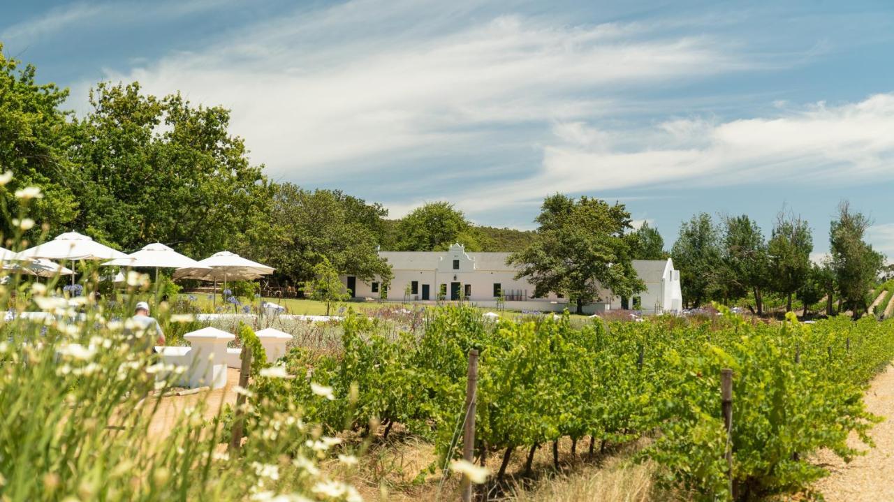 Plaisir Estate Accommodation Simondium 外观 照片